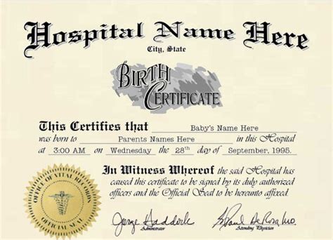 sex lies and birth certificates catholic lane