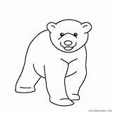 Bear Coloring Polar Pages Cute Coloring4free Baby Related Posts sketch template