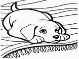 Coloring Pages Dog Boxer Cartoon Getcolorings Color sketch template