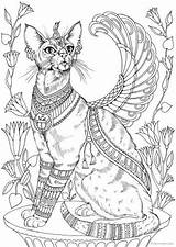 Ausmalen Katze Magische Favoreads ägypten Katzen Gypten Malvorlagen Coloringart Grown Ups sketch template