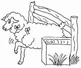 Fattoria Disegni Mouton Sheep Owce Dibujos Kolorowanki Coloriages Megghy Ovejas Shaun Paginas Dessins Buzz2000 sketch template