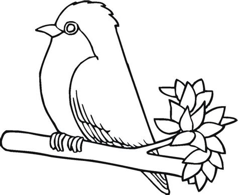 robin bird coloring pages enjoy coloring bird coloring pages