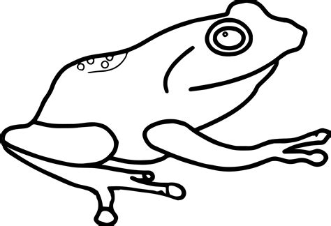 tree frog coloring pages    clipartmag