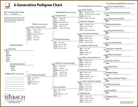 family tree magazine  genealogy charts forms form resume