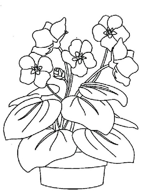 coloring violet flower coloring page bunny coloring pages flower coloring pages