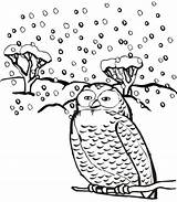 Winter Coloring Pages Owl Animals Birds Printable Snowy Animal Snow Color Template Getcolorings Cartoon Library Clipart Popular sketch template