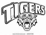 Tigers Word Football Tiger Clemson Color Coloring Pages Printable Clipart Template Stock sketch template