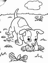 Colorat Animale Catelusi P07 Desene Planse Primiiani Puppy Cele Isteti Prin Cauta Copii sketch template