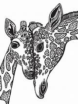 Giraffe Savane Coloriage Spaß Imprimer Savanna sketch template