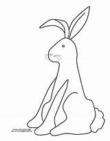 Rabbit Velveteen sketch template