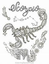 Scorpio Sternzeichen Skorpion Ausdrucken Malvorlagen Coloriages Erwachsene Mandalas Zodiaque Adultes Taurus Libra Horoskop Vorlagen Astrology Imprimer Signe Colorir Adulte Aileen sketch template