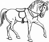 Coloriage Cavalos Cheval Cavalo Clipartmag Bridle Desenhos Saddle Colorir Equino Colorindo Adulte sketch template