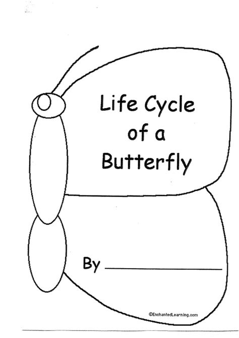 life cycle   butterfly book learningenglish esl