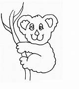 Koala Coloring Pages Kids Printable sketch template