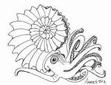 Ammonite Coloring Fossil Designlooter Sketch Template 05kb 231px Andy Artwork sketch template