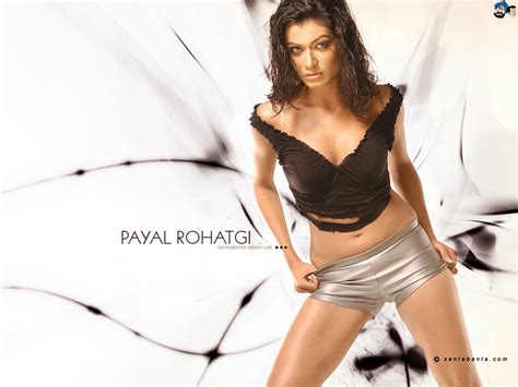 payal rohatgi hot sexy beautiful latest unseen wallpapers