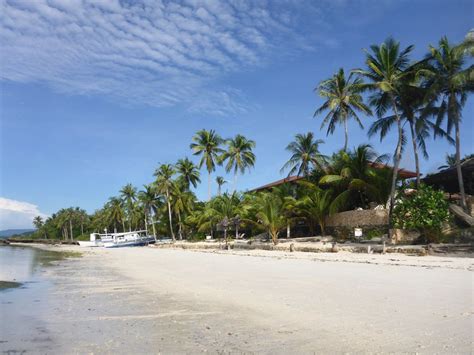 island view beachfront resort au  prices reviews bohol province philippines