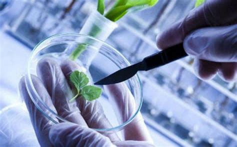 biotechnology   career bio science  engineering technologies