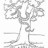 Eden Garden Coloring Snake Tree Knowledge Netart Bible Stories sketch template
