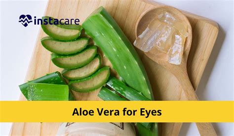 The Surprising Benefits Of Aloe Vera For Your Eyes A Comprehensive Guide