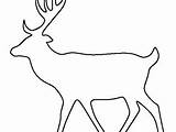 Deer Template Silhouette Head Outline Stencil Prinable Getdrawings sketch template