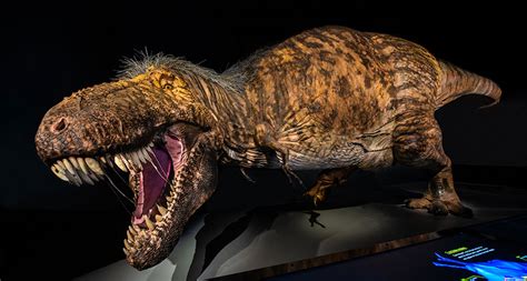 a new t rex exhibit takes a deep dive into the iconic dinosaur