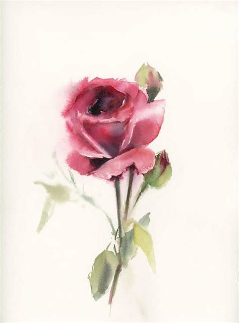 rose original watercolor painting rose watercolour art watercolor
