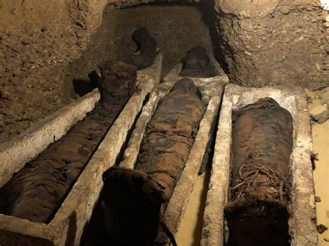 Egypt S First Antiquities Discovery Of 2019 Mummy Filled