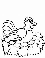 Chicken Egg Drawing Coloring Pages Hen Hatched Being Netart Hatch Getdrawings sketch template