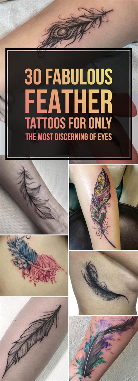30 Fabulous Feather Tattoos For Only The Most Discerning Of Eyes