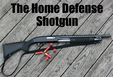 home defense shotgun  backyard pioneer