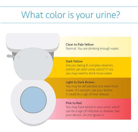 urine color    health color  urine