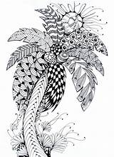 Coloring Summer Pages Adult Tree Printable Adults Palm Color Coloriage Zentangle Drawing Trees Mandala Online Books Colouring Palmier Patterns Print sketch template