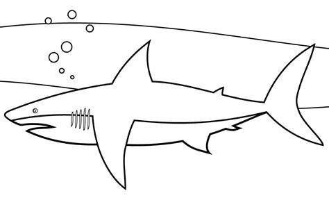 fise de colorat cu rechin inotator descarcati imprimati sau colorati  gratuit