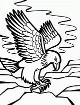 Adler Ausdrucken sketch template