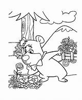 Coloring Bear Pages Yogi Boo Booboo Movie Picking Library Clipart Sheets Go Popular sketch template