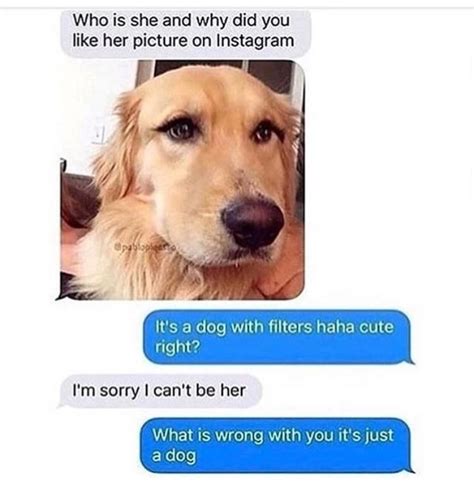 dog     camera    texts written