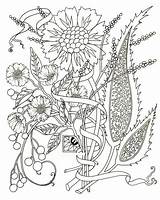 Coloring Pages Adults Adult Flower Pdf Flowers Paisley Printable Color Spring Abstract Print Colouring Kids Floral Mediterranean Azcoloring Easy Cynthia sketch template