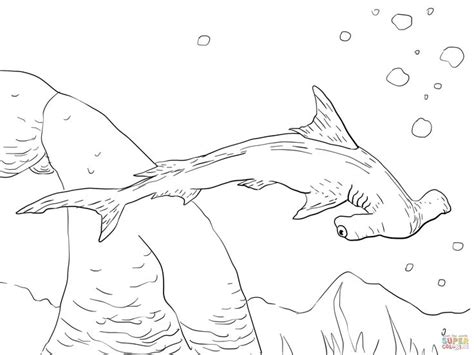 shark coloring pages animal coloring pages shark drawing