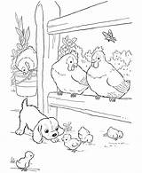 Coloring Pages Baby Animals Farm Chicken Honkingdonkey Book Chickens sketch template