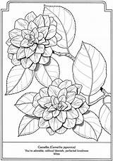 Coloring Pages Dover Flowers Publications Welcome Book Psalm Flower Printable Adults Para Color Adult Colorir Doverpublications Zb Samples Adultos Coloriage sketch template