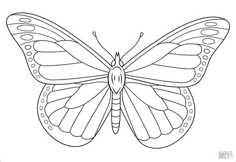 monarch butterfly coloring page coloringbay