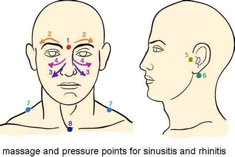 sinus pressure points massage pressure points sinus massage sinus