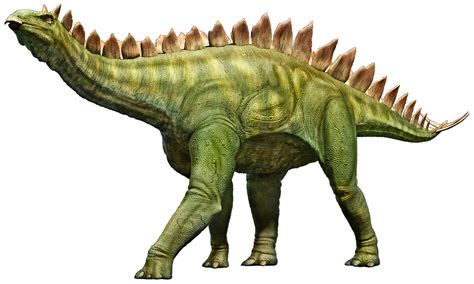 stegosaurus fact sheet cswd
