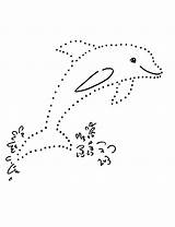 Dot Dolphin sketch template
