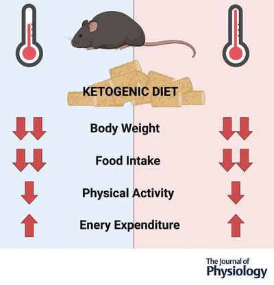 ketogenic dietinduced weight loss occurs independent  housing