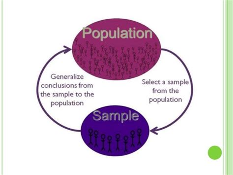 sample  sample size