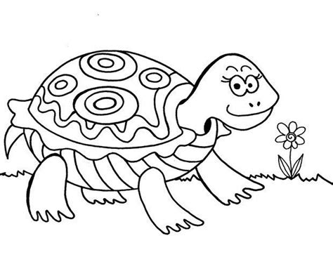 turtle coloring pages httpfreecoloring pagesorgturtle coloring