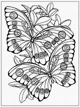 Coloring Butterfly Pages Adults Printable Adult Realistic Color Spring Print Simple Girls Stress Kids Butterflies Colouring Sheets Anti Pretty Flower sketch template