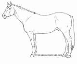 Coloring Pages Thoroughbred Horse Printable Animals Getcolorings Quarter Horses Color Print Supercoloring sketch template